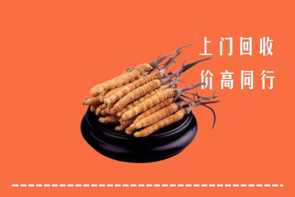 高价求购：南京江宁区回收散虫草