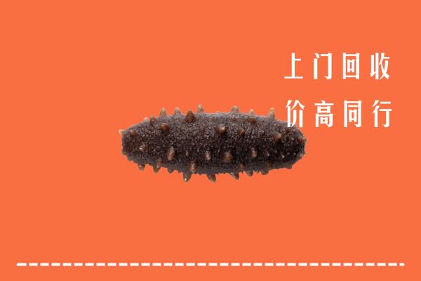 高价求购：南京江宁区回收海参