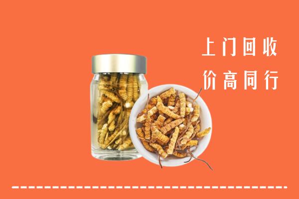 南京江宁区回收冬虫夏草